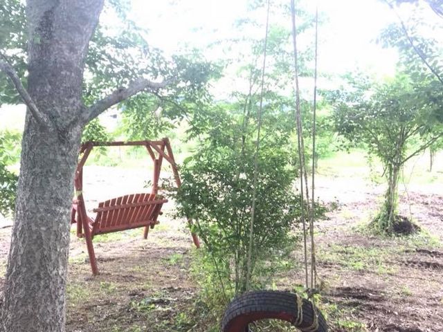 木製ブランコにスリルなタイヤのブランコ。_蒜山高原カルチベート観光ブルーベリー園
