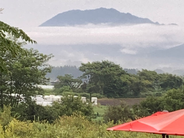 蒜山高原カルチベート観光ブルーベリー園