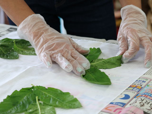 �����̉ԋ�ԁ@made