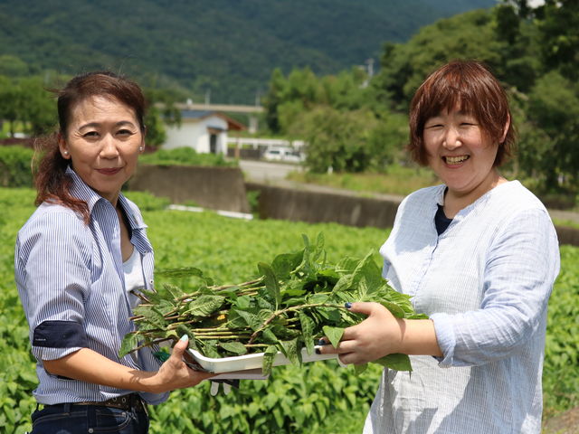 �����̉ԋ�ԁ@made