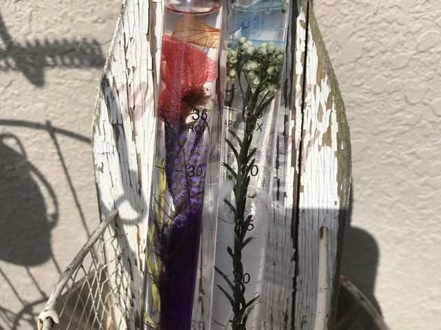 ���ӂ��݁[��