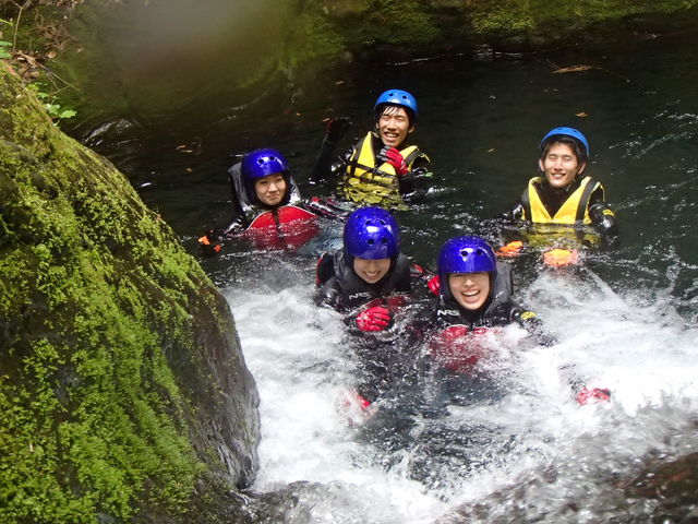 �j�색�t�e�B���Owinds