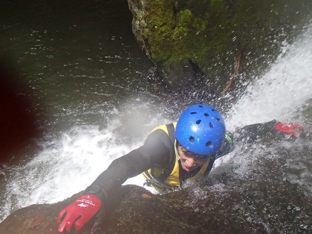 �j�색�t�e�B���Owinds