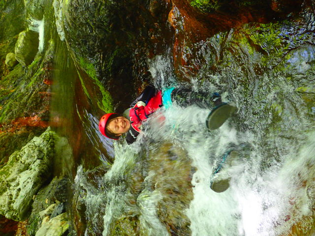 �j�색�t�e�B���Owinds