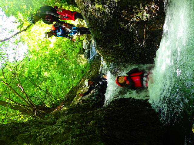 �j�색�t�e�B���Owinds