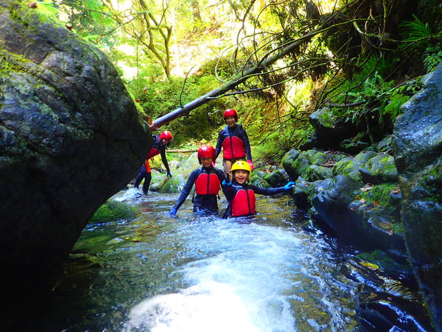 �j�색�t�e�B���Owinds