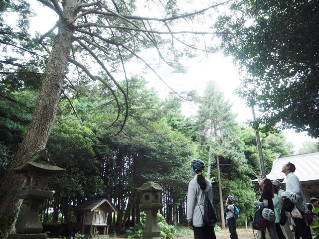 �y�T�C�N�����O�z
��������̈�Ղ�_�Ђɂ��K�C�h�t���ł��ē��B_�R�R���g�卪��