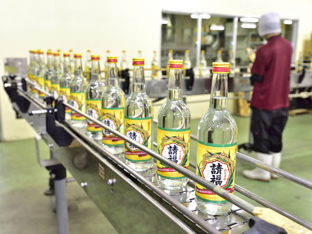 �����𑢖A���H��