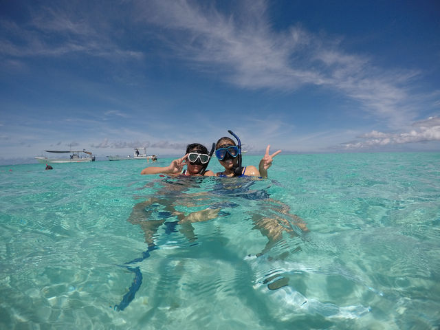 �V���b�v���������5���̃r�[�`�ł�_�{�Ó��_�C�r���O���]�[�gReef