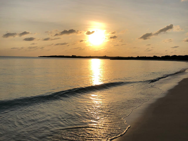 �V���b�v����k��5���A�[�z���L���C�ł�_�{�Ó��_�C�r���O���]�[�gReef