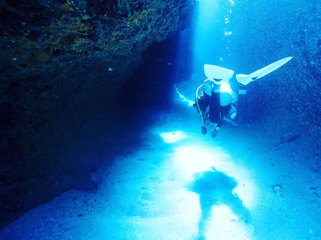 �n�`�_�C�r���O_�{�Ó��_�C�r���O���]�[�gReef