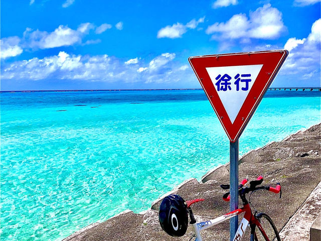 17�G���h�r�[�`�ɂ��A�t�^�[�_�C�u�Ŋy���߂܂�_�{�Ó��_�C�r���O���]�[�gReef