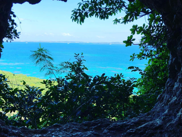 �ɗǕ����ɂ���n�b�s�[�h��_�{�Ó��_�C�r���O���]�[�gReef