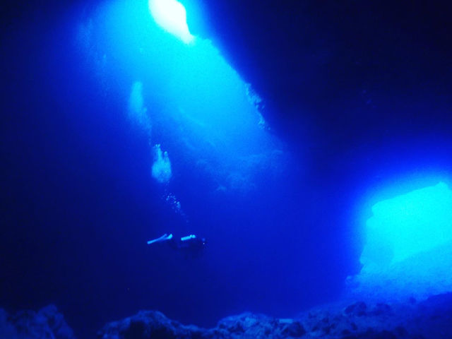 �n�`�_�C�r���O_�{�Ó��_�C�r���O���]�[�gReef