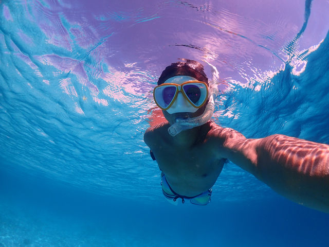 �ɗǕ��u���[�̊C_�{�Ó��_�C�r���O���]�[�gReef