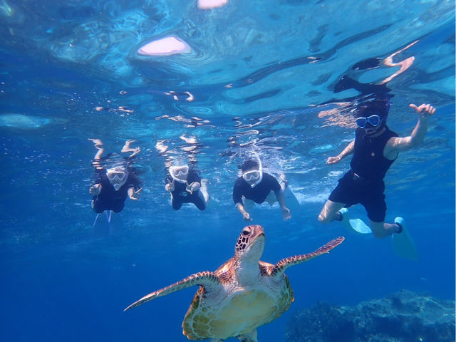Reeftour HONEY�̎ʐ^1