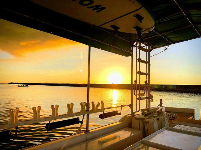 �}���^��y��