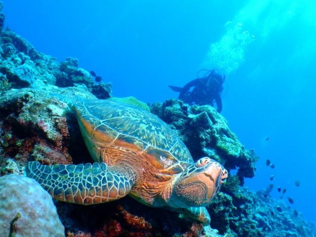 �}���^��y��