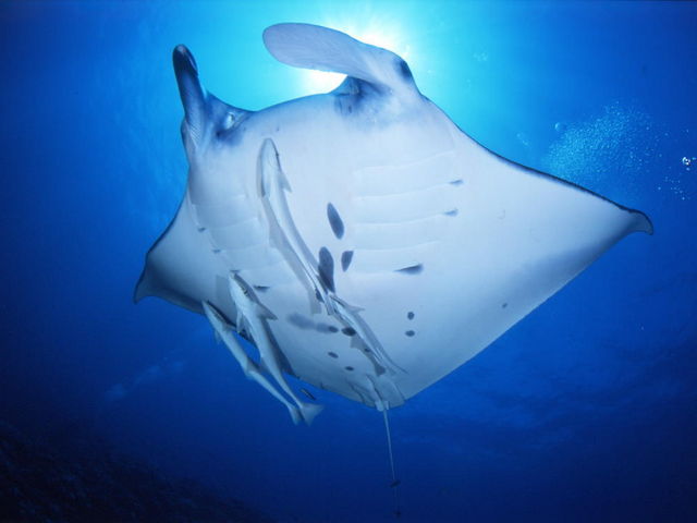 �}���^��y��