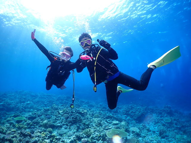 ����@�_�C�r���O�@�T�[�r�X�@splus