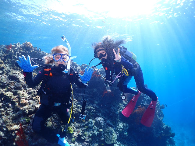 ����@�_�C�r���O�@�T�[�r�X�@splus