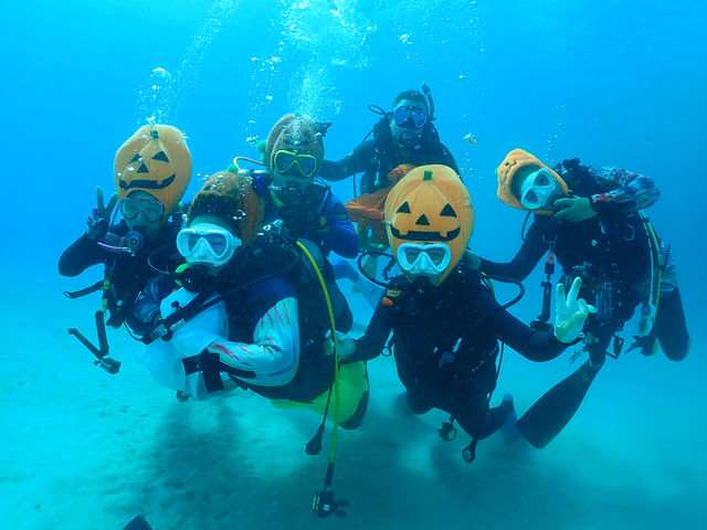 ����@�_�C�r���O�@�T�[�r�X�@splus