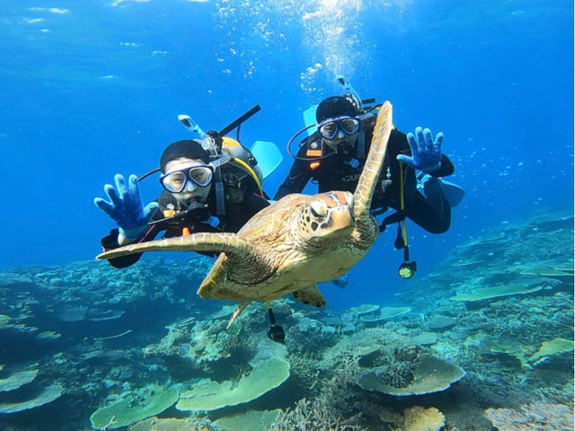 ����@�_�C�r���O�@�T�[�r�X�@splus