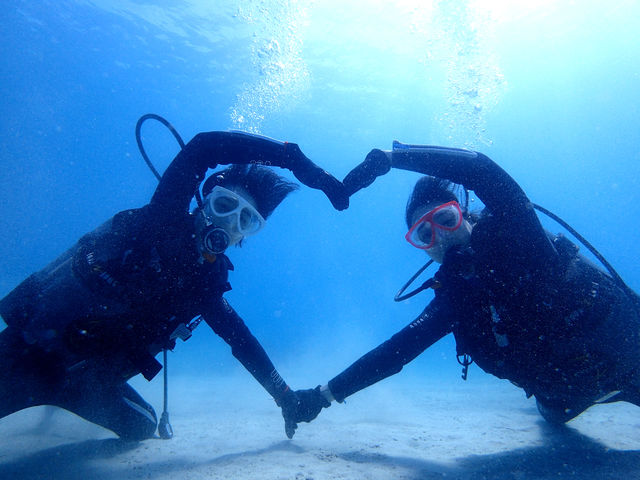 �̌��_�C�r���O_�_�C�r���O�V���b�v�@���v��