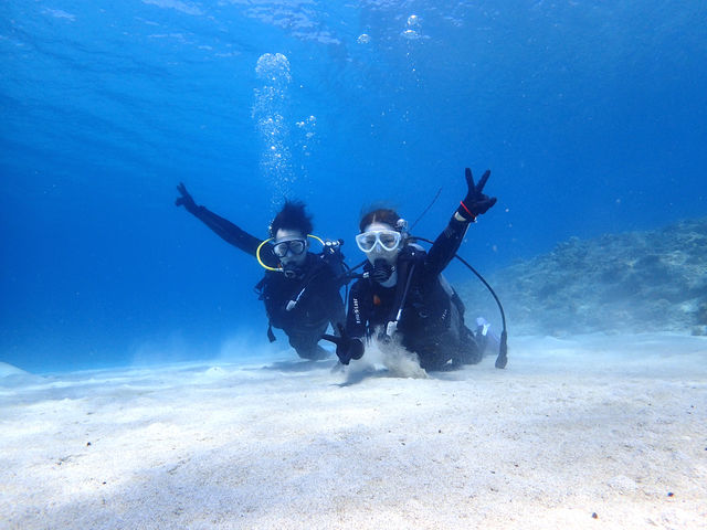 �̌��_�C�r���O_�_�C�r���O�V���b�v�@���v��