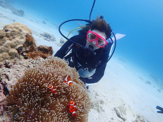 �_�C�r���O�̌�_�_�C�r���O�V���b�v�@���v��