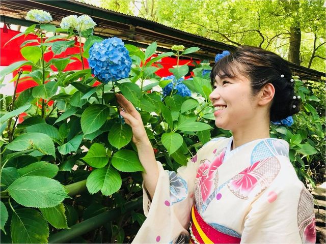 �ʛlkyoto