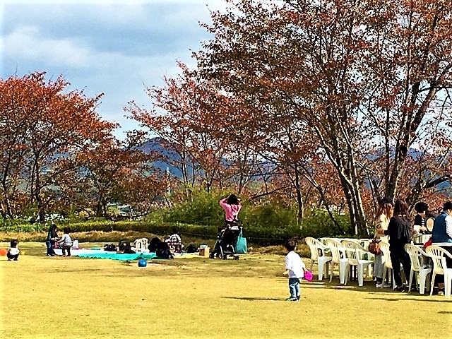 �H�o�[�x�L���[_NIKKOEN�@BBQ&PARTY�@GARDEN