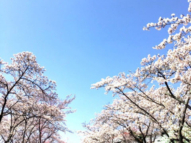 BBQ�G���A�܂ł̃A�v���[�`_NIKKOEN�@BBQ&PARTY�@GARDEN