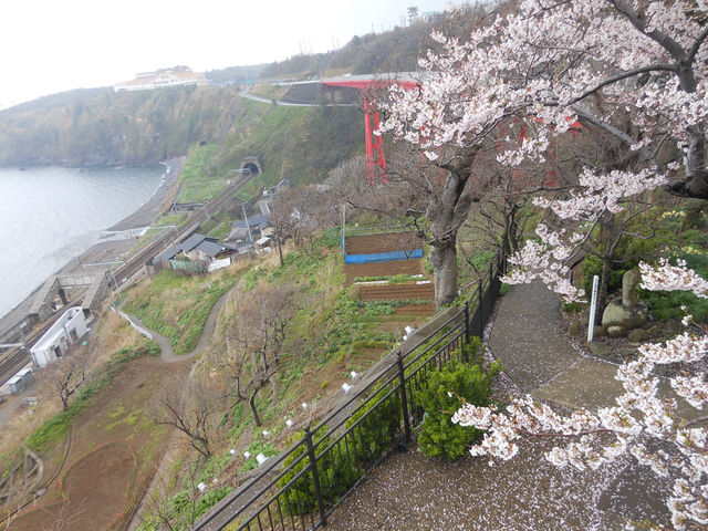 4�����{�́A���X�̃V���{�������100�N�̃\���C���V�m�����J�B�C�ƍ��Ɛ�i�̃R���{���[�V�����ł��B_���̐V����