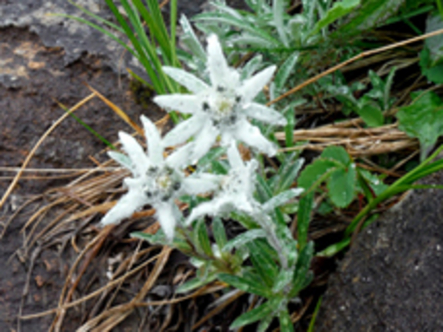 ���r��R�@�n���`�l�E�X���L�\�E_���o�R����