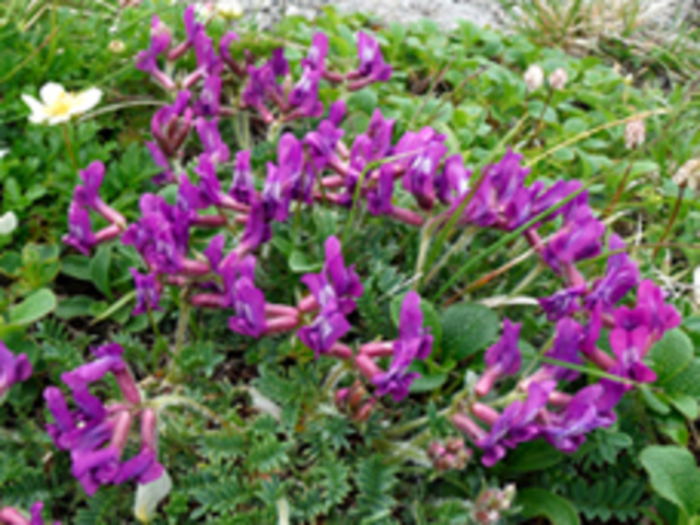 �����ʊx�@�}�V�P�Q���Q_���o�R����