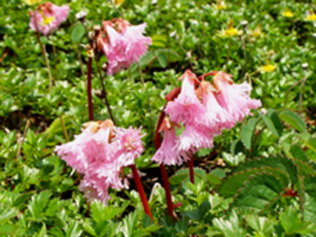 �H�c��x�@�C���J�K�~_���o�R����