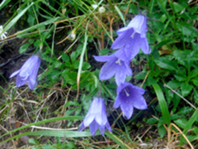 ���䍂�x�@�C���M�L���E_���o�R����