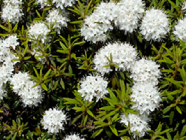 �V���x�@�G�]�C�\�c�c�W_���o�R����