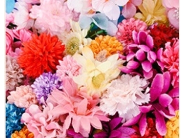 ���s���������^�� ���Ȃł���