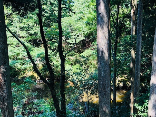 ���X�炬�̐X �� �v�e�B�g�D �|���g