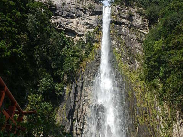 �F��Ó��T�K�v���W�F�N�g