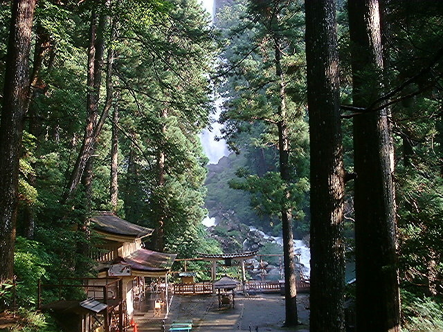 �F��Ó��T�K�v���W�F�N�g