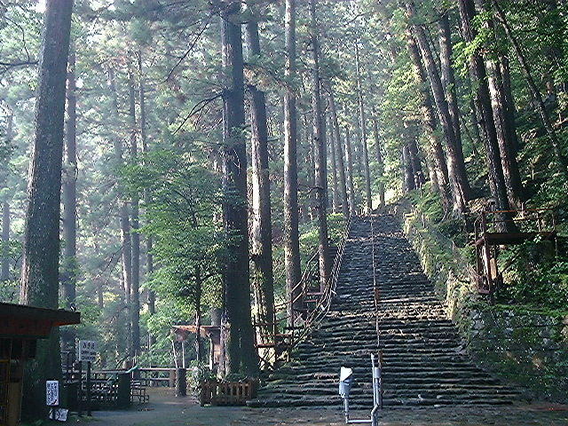 �F��Ó��T�K�v���W�F�N�g