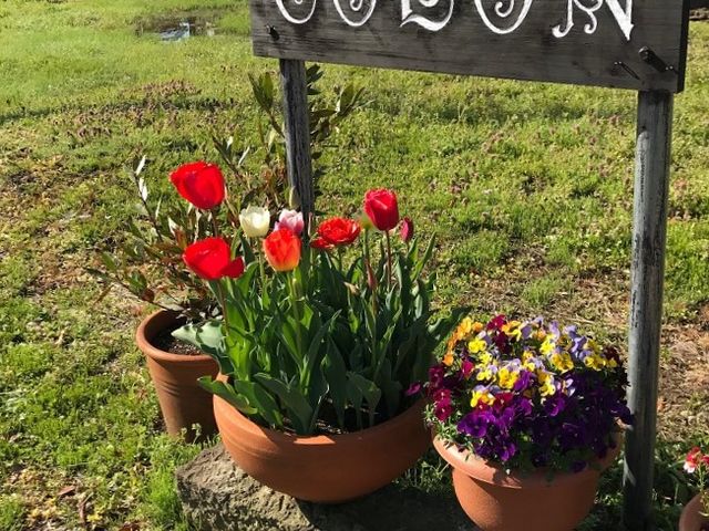 ���ԏ�̊ŔB_COLON