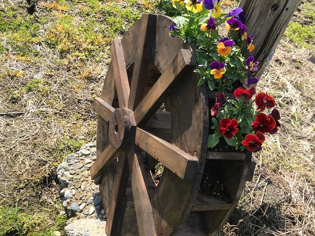 ���ԂƉԁB_COLON