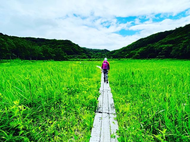 Snow Crystal Wellness