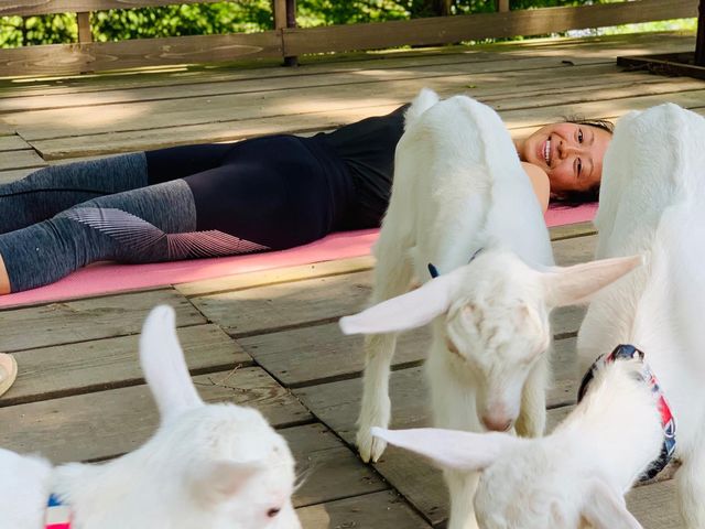 Snow Crystal Wellness