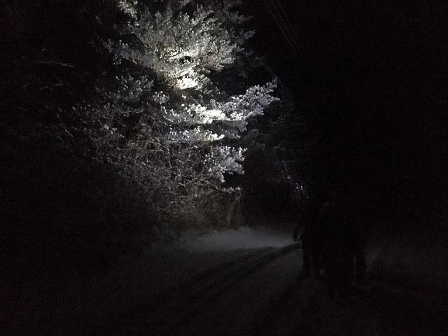 Moora Beat�i���[���r�[�g�j