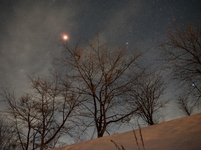 Moora Beat�i���[���r�[�g�j